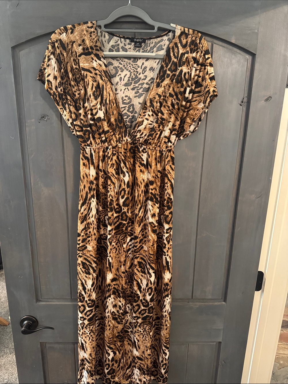 Rhapsody Animal-Print V-Neck Maxi Dress - Brown & Black